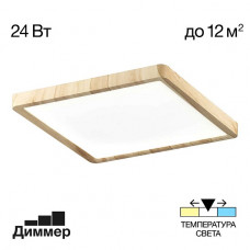 Накладной светильник Citilux CL738K242V Накладной светильник Citilux CL738K242V