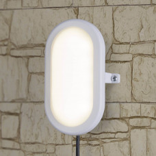 Пылевлагозащищенный светильник Elektrostandard LTB0102D LED 22 см 12W белый 4690389099113
