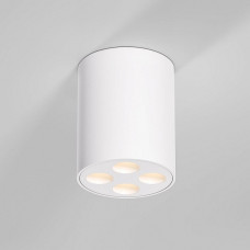Потолочный светильник Elektrostandard 25111/LED a067482 Потолочный светильник Elektrostandard 25111/LED a067482