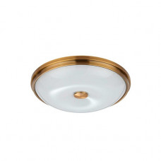 Потолочный светильник Odeon Light Pelow 4956/4 Потолочный светильник Odeon Light Pelow 4956/4