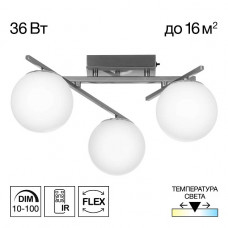 Потолочная светодиодная люстра Citilux Dorsy CL223131 Потолочная светодиодная люстра Citilux Dorsy CL223131