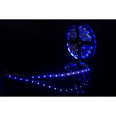 Светодиодная лента SWG 4,8W/m 60Led/m 3528SMD синий 5M SWG360-12-4.8-B-М 009469 Светодиодная лента SWG 4,8W/m 60Led/m 3528SMD синий 5M SWG360-12-4.8-B-М 009469