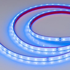 Светодиодная влагозащищенная лента Arlight 4,8W/m 60LED/m 2835SMD синий 5M 034160 Светодиодная влагозащищенная лента Arlight 4,8W/m 60LED/m 2835SMD синий 5M 034160