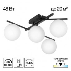Потолочная светодиодная люстра Citilux Dorsy CL223142 Потолочная светодиодная люстра Citilux Dorsy CL223142