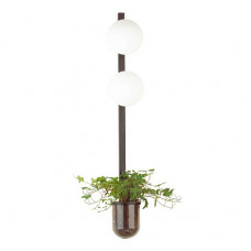 Настенный светильник Odeon Light Flower 4681/2WA Настенный светильник Odeon Light Flower 4681/2WA