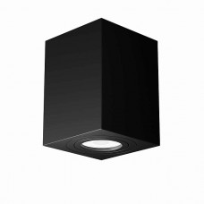 Потолочный светильник Maytoni Alfa C017CL-01B Потолочный светильник Maytoni Alfa C017CL-01B