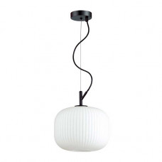 Подвесной светильник Odeon Light Roofi 4753/1 Подвесной светильник Odeon Light Roofi 4753/1