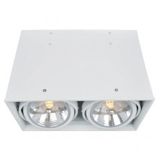 Потолочный светильник Arte Lamp Cardani A5936PL-2WH Потолочный светильник Arte Lamp Cardani A5936PL-2WH