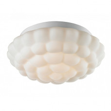 Потолочный светильник Arte Lamp Aqua A5130PL-2WH Потолочный светильник Arte Lamp Aqua A5130PL-2WH