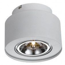 Потолочный светильник Arte Lamp Cliff A5643PL-1WH Потолочный светильник Arte Lamp Cliff A5643PL-1WH