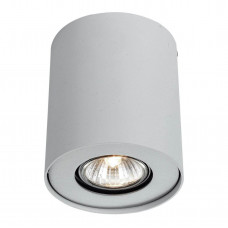 Потолочный светильник Arte Lamp Falcon A5633PL-1WH