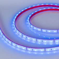Светодиодная влагозащищенная лента Arlight 4,8W/m 60LED/m 2835SMD синий 5M 034012 Светодиодная влагозащищенная лента Arlight 4,8W/m 60LED/m 2835SMD синий 5M 034012