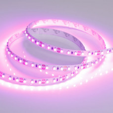 Светодиодная лента Arlight 9,6W/m 120LED/m 2835SMD розовый 5M 015897(2) Светодиодная лента Arlight 9,6W/m 120LED/m 2835SMD розовый 5M 015897(2)