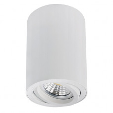 Точечный накладной светильник Arte Lamp SENTRY A1566PL-1WH Точечный накладной светильник Arte Lamp SENTRY A1566PL-1WH